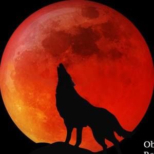 Meet your Posher, Richy